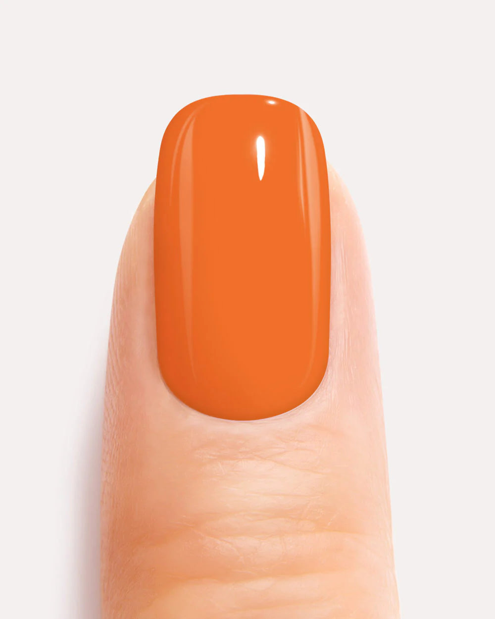 Pumpkin 053